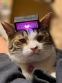 20260302220435