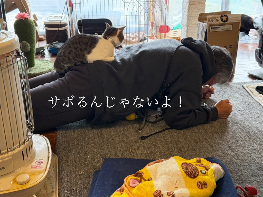 f:id:mp87:20260302221248j:image