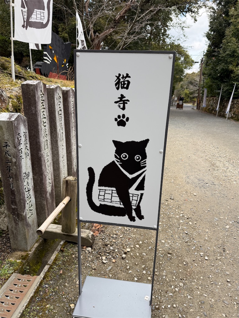 f:id:mp87:20260307220542j:image