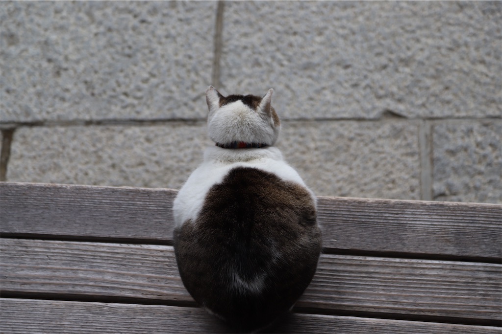 f:id:mp87:20260308224650j:image