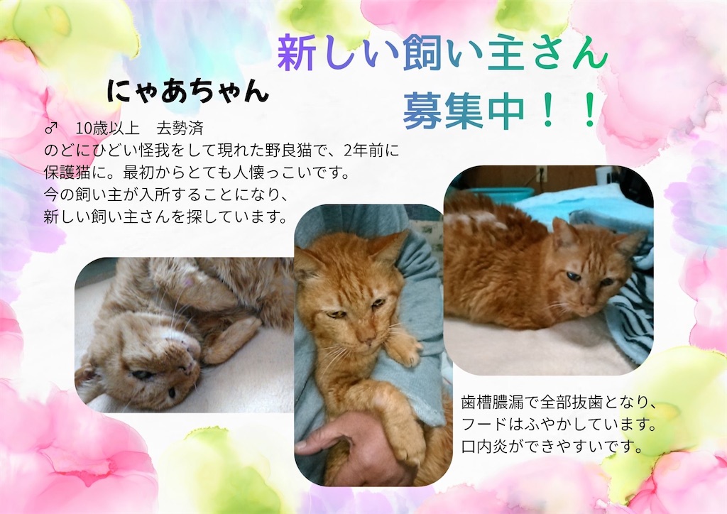 f:id:mp87:20260402222904j:image