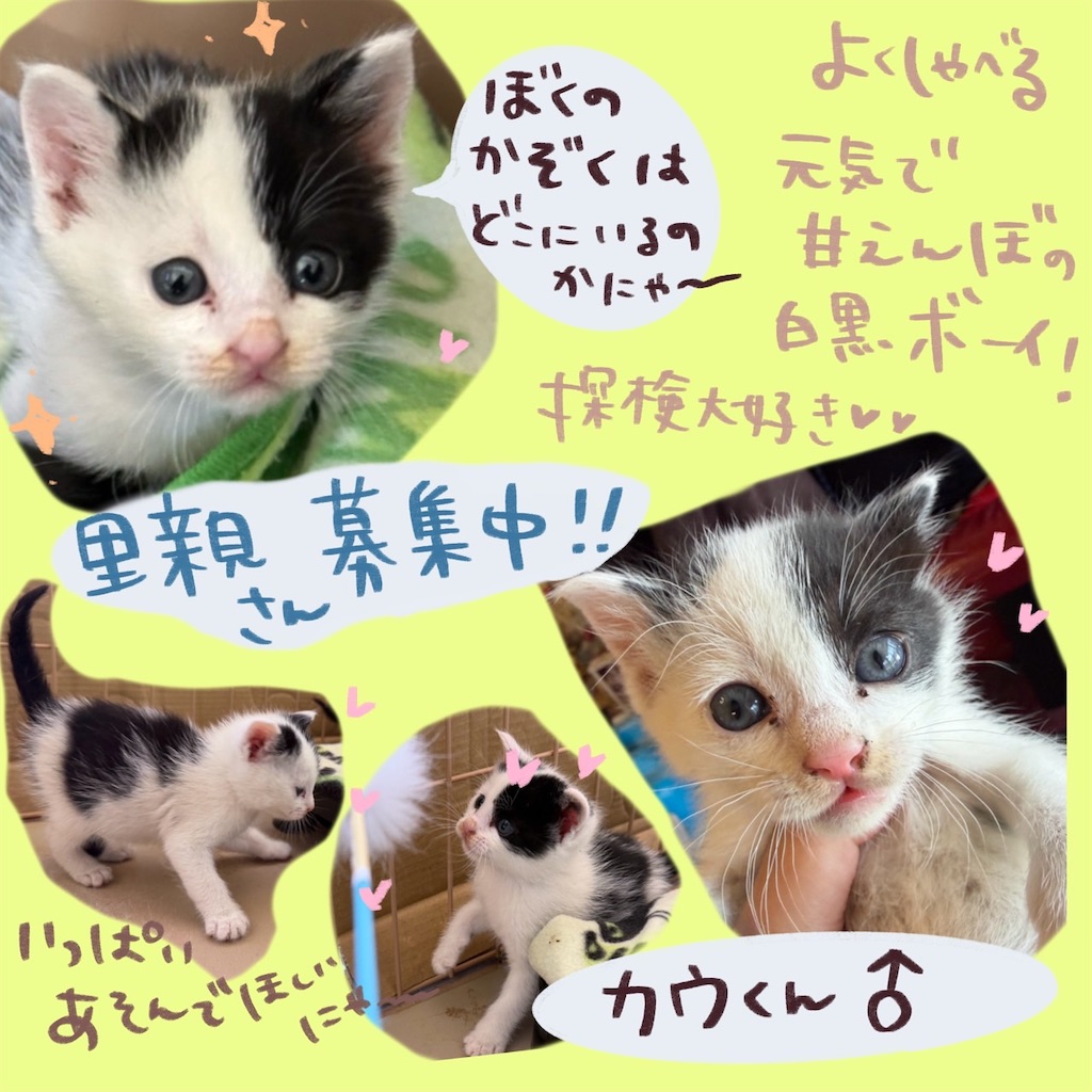 f:id:mp87:20260517222044j:image f:id:mp87:20260517222044j:image