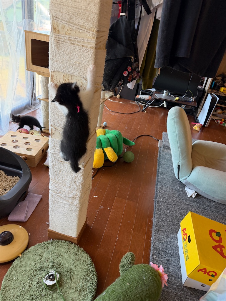 f:id:mp87:20260529221138j:image