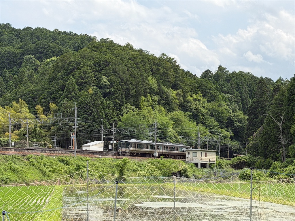 f:id:mp87:20260606221415j:image f:id:mp87:20260606221415j:image