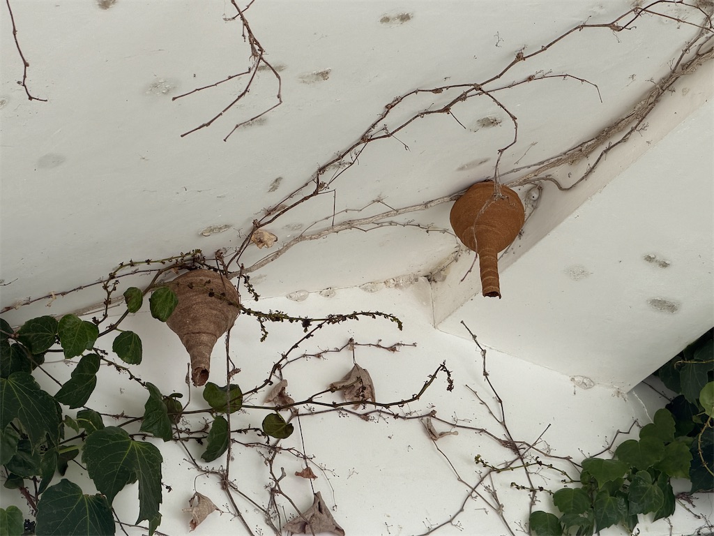 f:id:mp87:20260608221847j:image