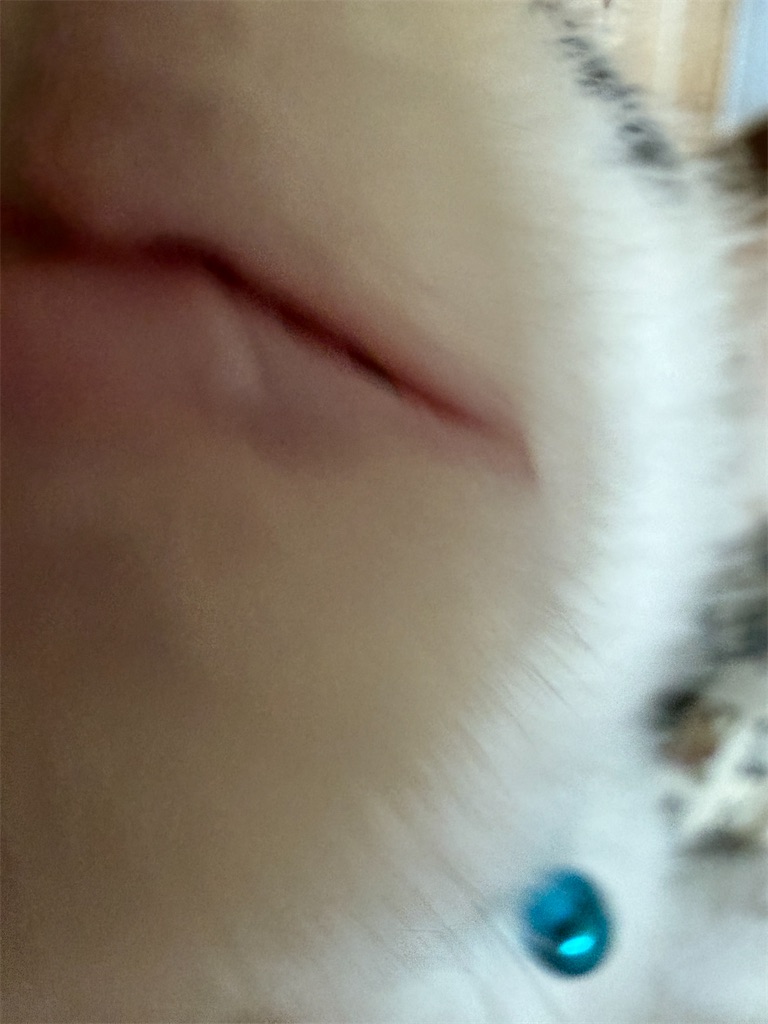 f:id:mp87:20260615211859j:image