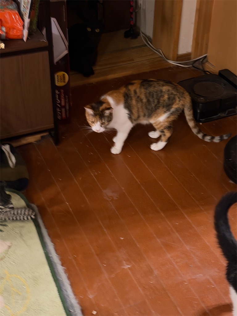 f:id:mp87:20260621212113j:image