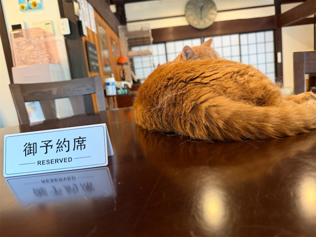 f:id:mp87:20260705215302j:image