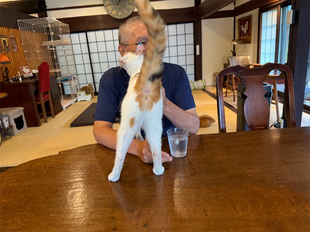 f:id:mp87:20260705215523j:image