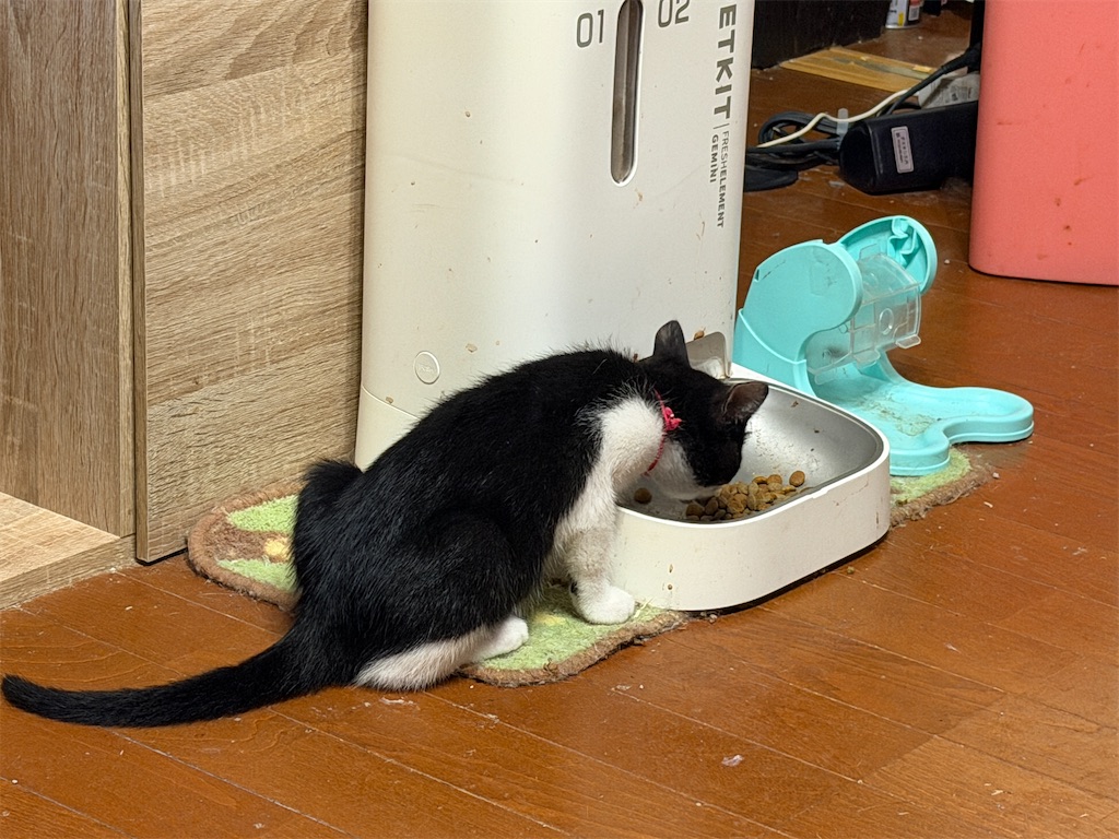 f:id:mp87:20260706215443j:image f:id:mp87:20260706215443j:image