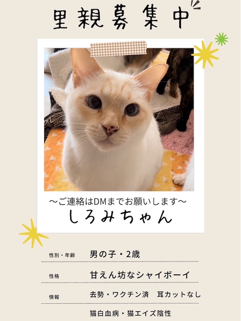 f:id:mp87:20260707213742j:image