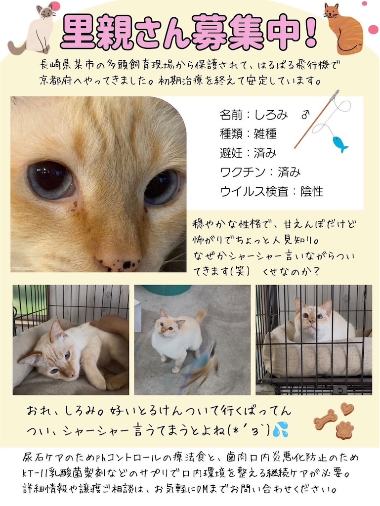 f:id:mp87:20260707213922j:image