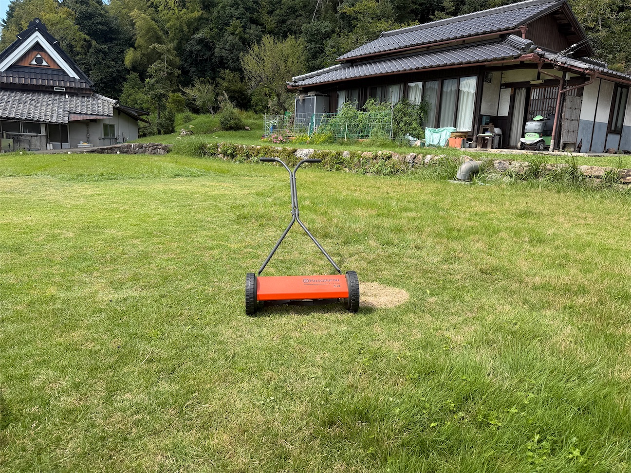 芝刈り体験してみる? - ネコオフィス