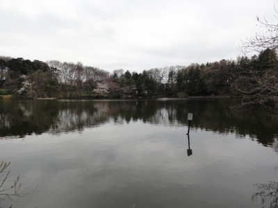 f:id:mpdstyle:20100328115102j:image