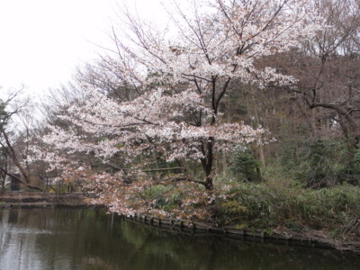 f:id:mpdstyle:20100328120443j:image
