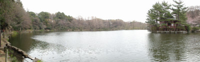 f:id:mpdstyle:20100328220242j:image