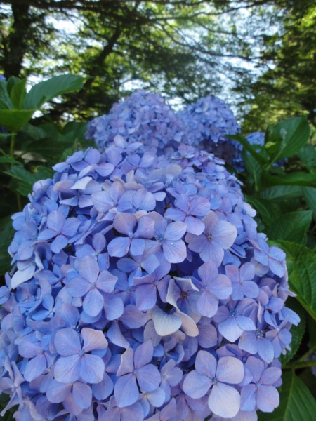 f:id:mpdstyle:20110717191922j:image