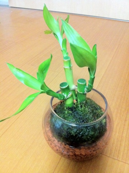 f:id:mpdstyle:20111118213203j:image