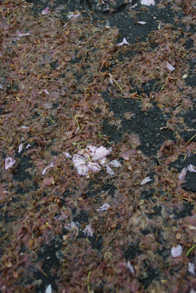 f:id:mpdstyle:20120504222813j:image