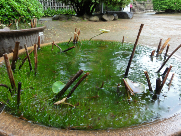 f:id:mpdstyle:20120504222833j:image