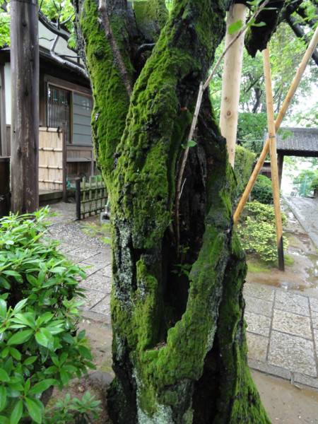 f:id:mpdstyle:20120504222837j:image