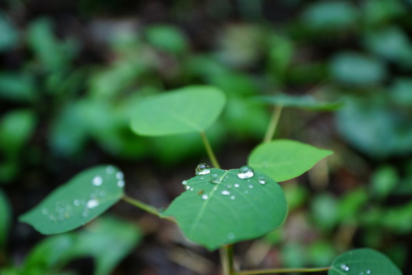 f:id:mpdstyle:20121009205957j:image