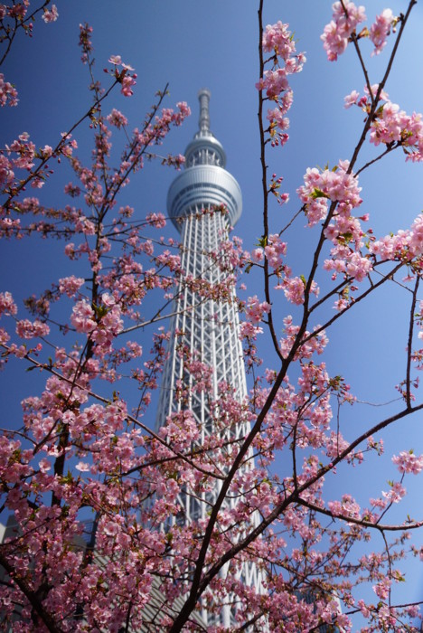 f:id:mpdstyle:20130310002630j:image