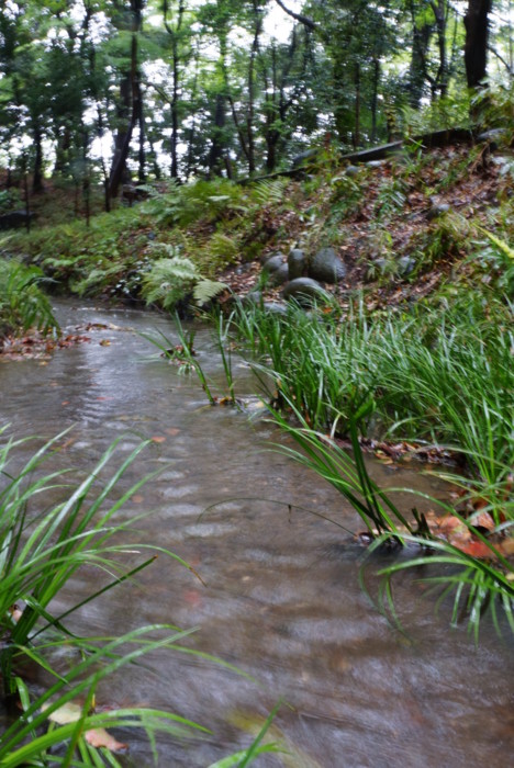 f:id:mpdstyle:20130502101606j:image