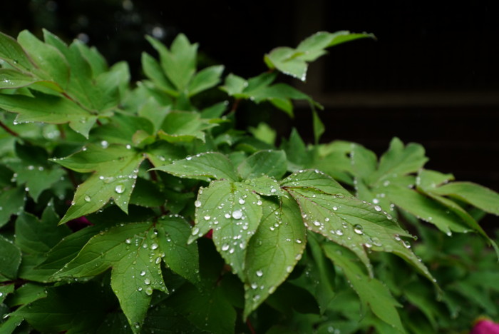 f:id:mpdstyle:20130502101609j:image