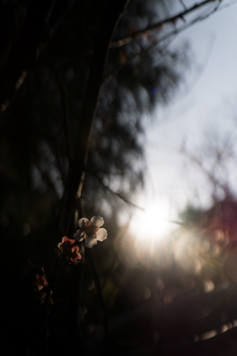 f:id:mpdstyle:20140309225759j:plain