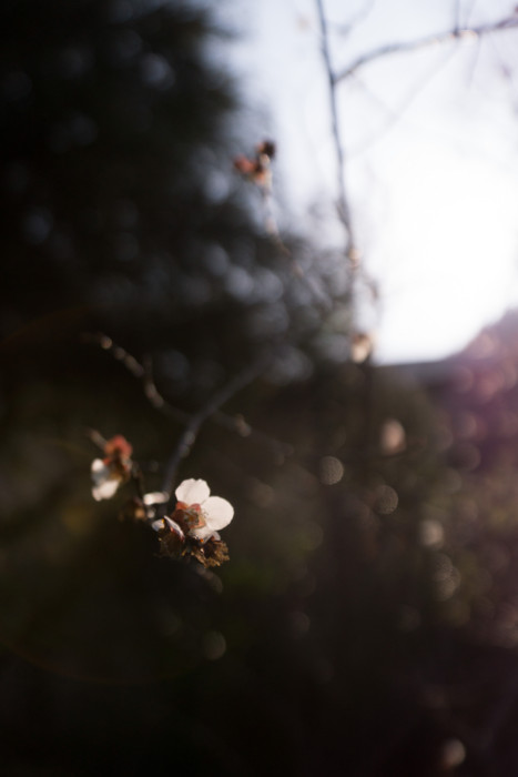 f:id:mpdstyle:20140309231458j:plain