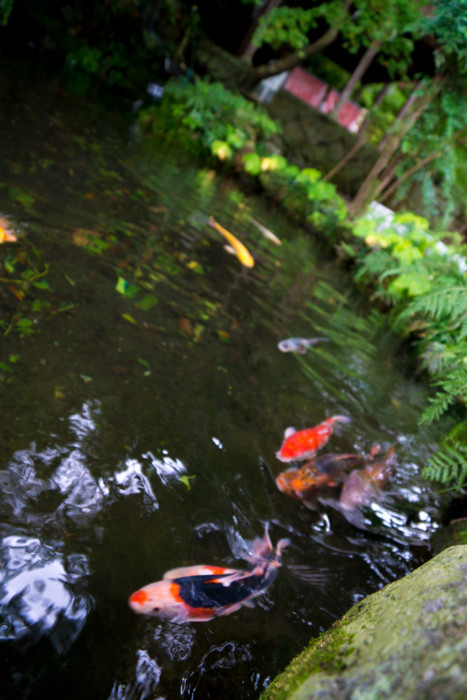 f:id:mpdstyle:20140816151642j:plain