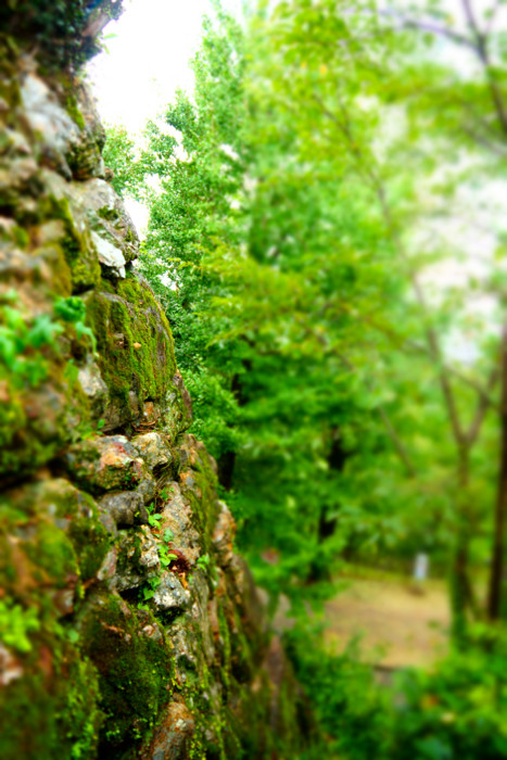 f:id:mpdstyle:20140816151652j:plain