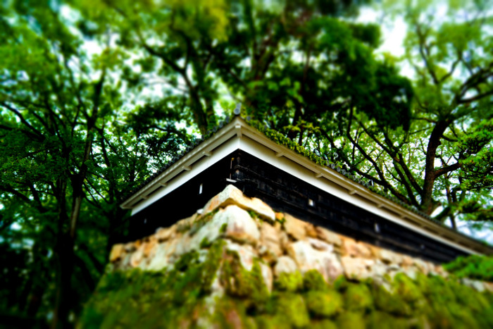 f:id:mpdstyle:20140816151653j:plain