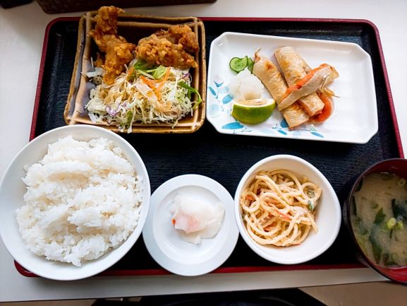 気になる 鮭ハラス定食 を食べてみた 鹿児島大学病院 外来食堂 鹿児島市桜ケ丘 食べる 寝る 考える
