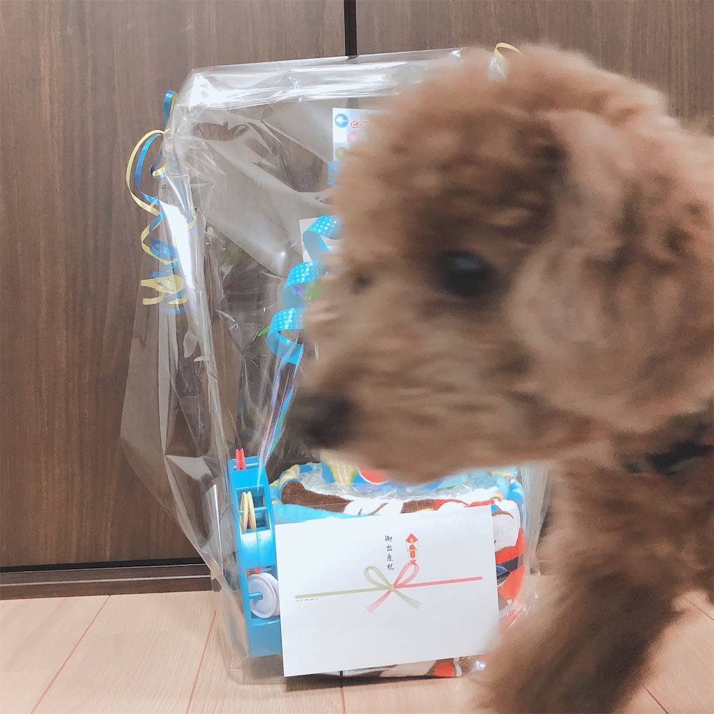 f:id:mpmpkkk:20201202122916j:image f:id:mpmpkkk:20201202122916j:image