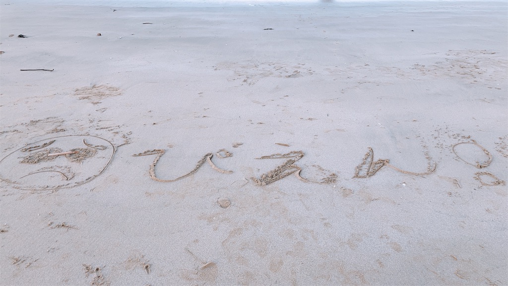 f:id:mpmpkkk:20201202132056j:image f:id:mpmpkkk:20201202132056j:image