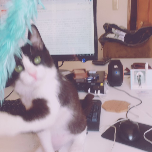 f:id:mptvstaff:20180214180010j:plain