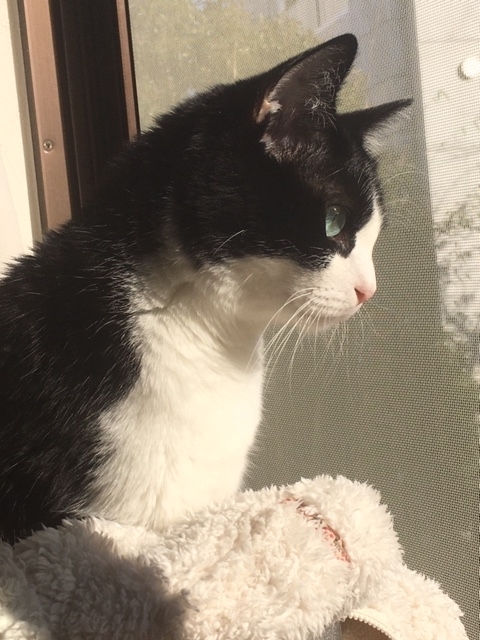 f:id:mptvstaff:20191205160823j:plain