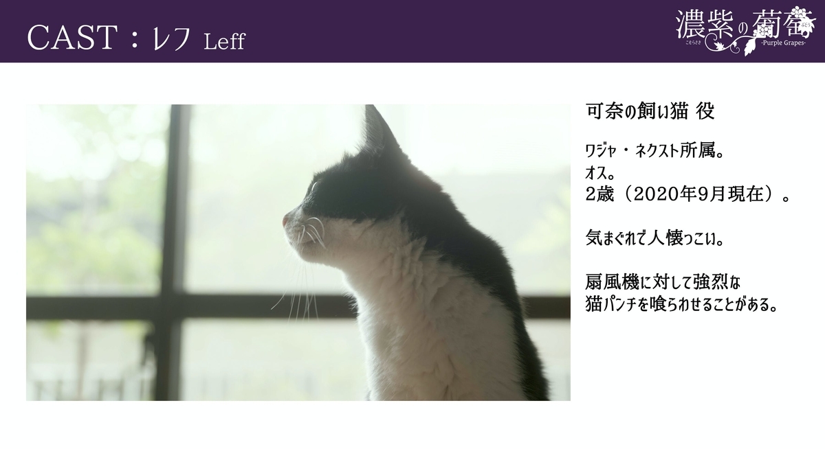 f:id:mptvstaff:20201004173153j:plain