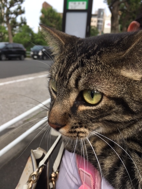 f:id:mptvstaff:20210606065951j:plain
