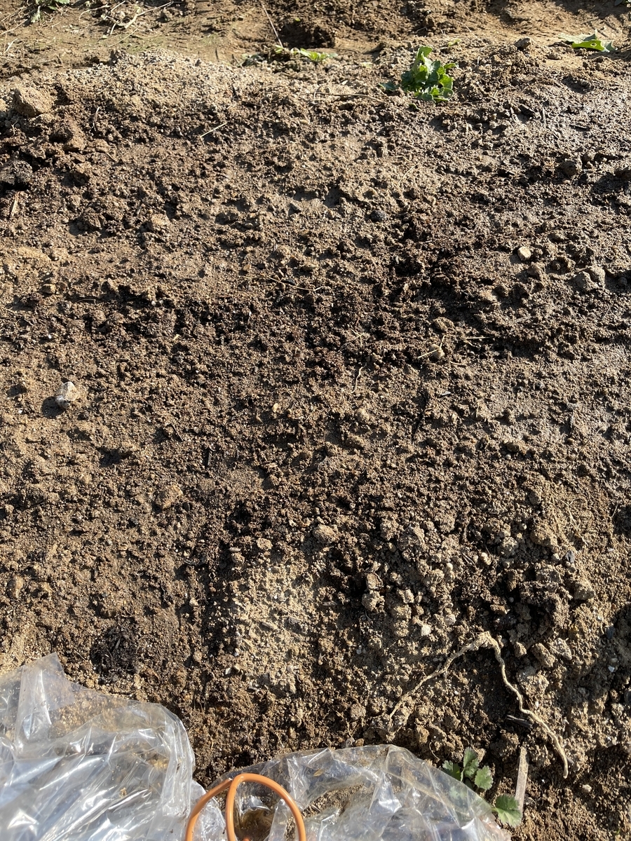 f:id:mqchaso:20201230070907j:plain