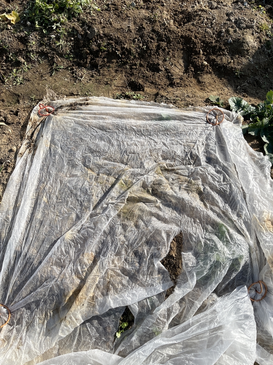 f:id:mqchaso:20201230070953j:plain