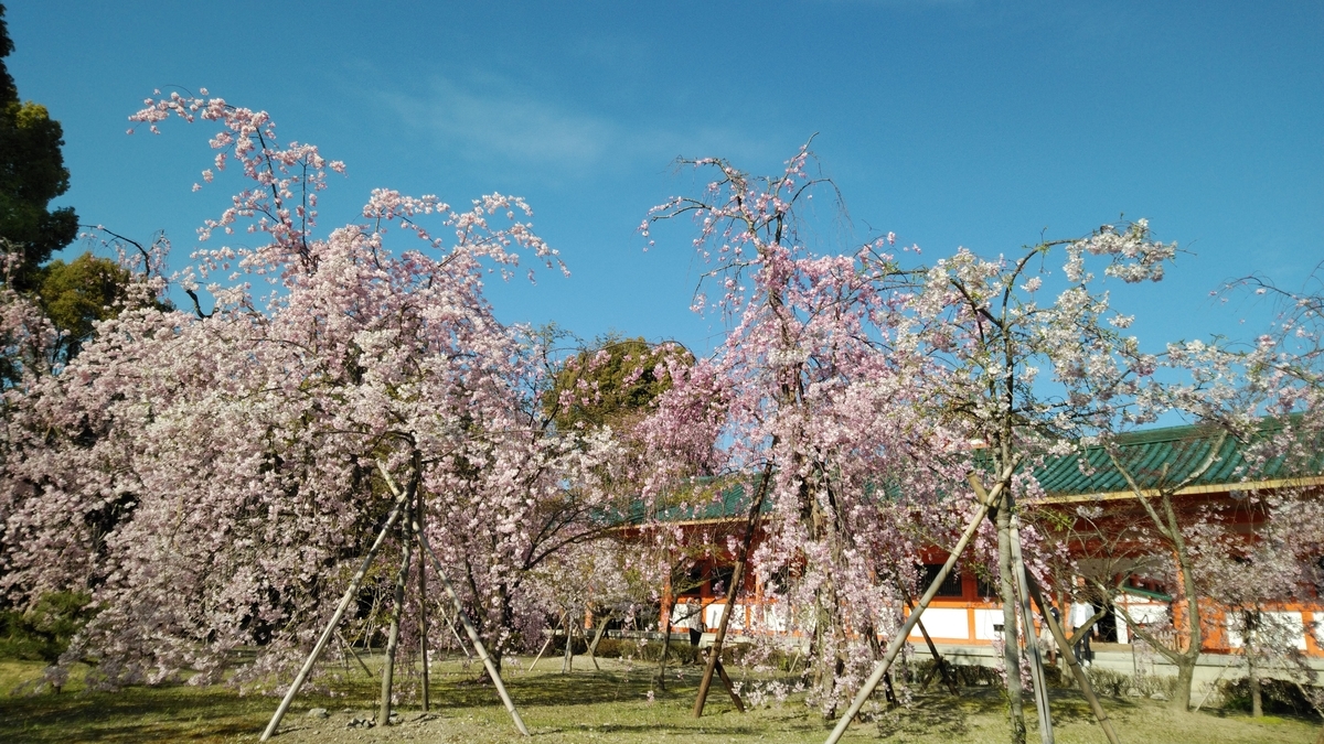 f:id:mr-5160-hate:20190409230813j:plain