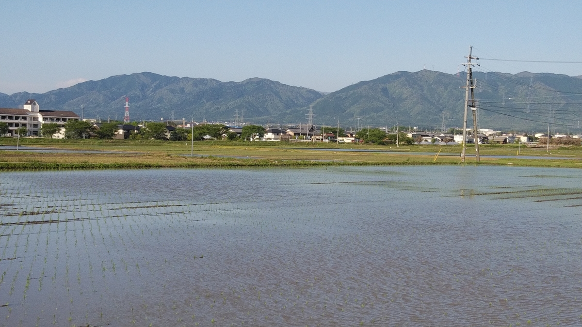 f:id:mr-5160-hate:20190505014426j:plain