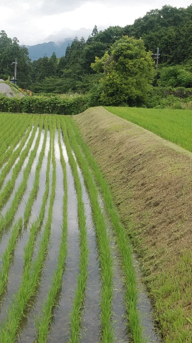 f:id:mr-5160-hate:20190617113605j:plain