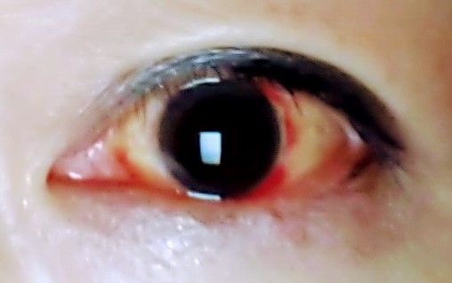 f:id:mr-5160-hate:20201019102535j:plain