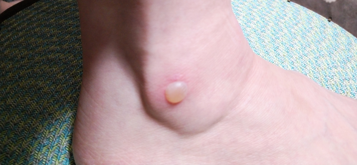 f:id:mr-5160-hate:20210207190820j:plain