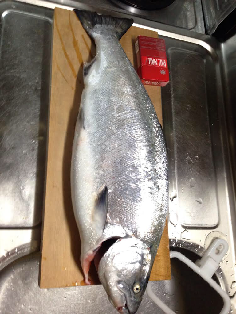 北海道の釣り対象魚制覇へ向けて 自然と戯れる