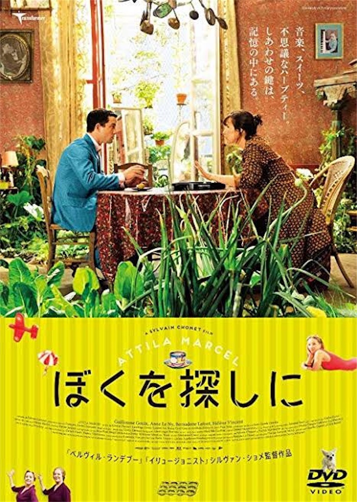 f:id:mr-kinoko:20190429002825j:image